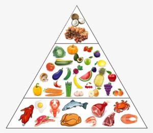 Notice Any Difference In The Food Pyramids The Daily