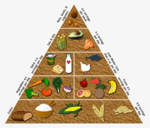 Hold An Event Where You Build The Food Pyramid With - Christmas Tree