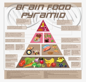 Brain Food Pyramid 5 Key Cognitive Performance Enhancing - Poster