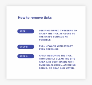 Tick Test How To Remove Tick 1 - Tick