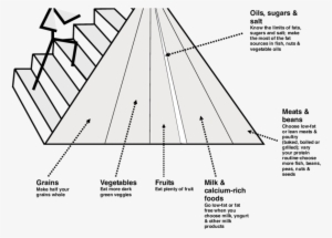 The 2005 Usda Food Pyramid 18 Balance Between Food - Food Pyramid