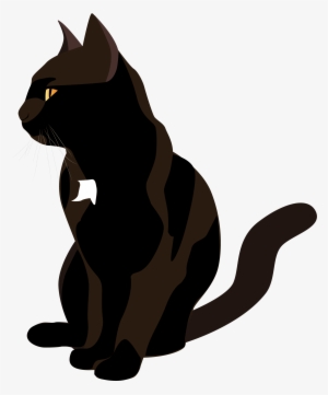 Chat Noir Seul - Black Cat