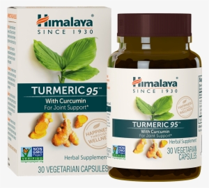 Turmeric 95™ Bottle - Himalaya Herbal Healthcare Turmeric 30 Veg Caps