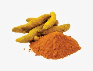 turmeric extract 95% curcuminoids - spices turmeric