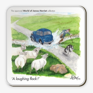 The World Of James Herriot