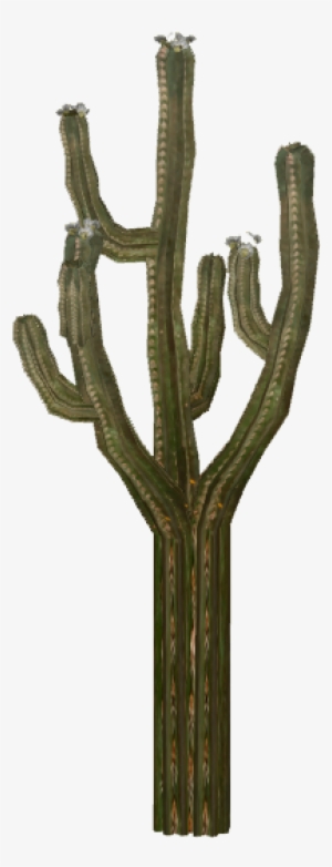 Cactus 5 - Wood