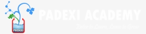 Padexi Academy - Alexa: 933 Funniest Things To Ask Alexa: (echo Dot,