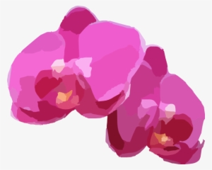 Two Pink Orchids Clip Art At Clker - Vector Image Orchid Png