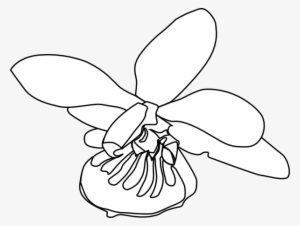 How To Set Use Orchid Clipart