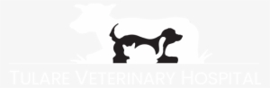 Dogs, Cats And Dairy Cow Veterinary Services In Tulare - Veterinarian