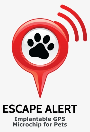 Implantable Microchip For Pets - Microchips Gps Escape Alert