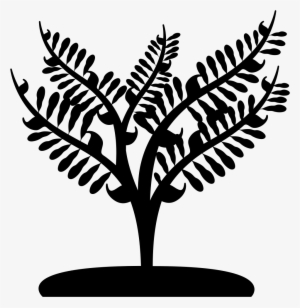 Big Plant Like A Small Tree Comments - Small Tree Black And White Png