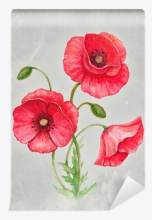 Watercolor Illustration Of Poppy Flower Wall Mural - Flor De Amapola Dibujo