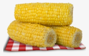 Corn - Corn On The Cob