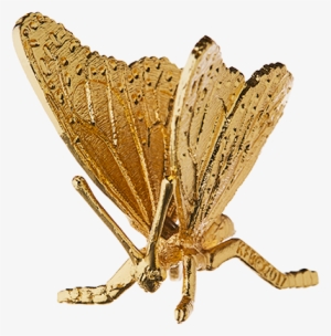 Monarch Butterfly Gold-plated Figurine