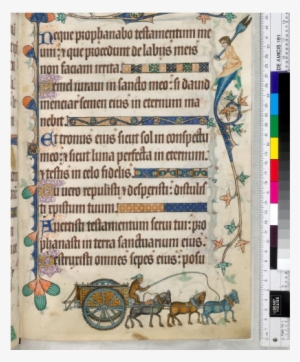 Canvas - Luttrell Psalter Book