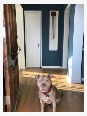 Doorbell