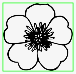 Fascinating Daisy Flower Black And White Clipart Icons - Flowers Png Black And White