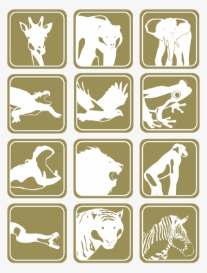 Zoo Icons Work In Progress - Signs At A Zoo