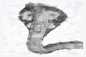 B/w Abstract Cobra - Sketch
