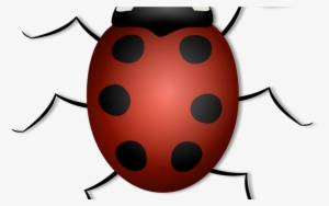 Free Lady Bug Clipart, Download Free Clip Art, Free - Clipart Fond Transparent Insecte Png