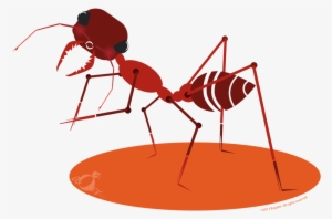 Bulldog Ant-04 - Charlie Harper Artist Insects