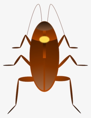 Cockroach, Insect, Ugly, Bug - Kecoa Vector