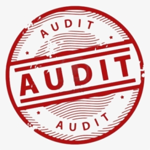 Get A Professional Seo Audit An In-depth Analysis Of - Case Audit