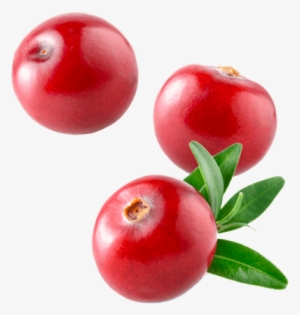 Cranberry - Cranberry Png