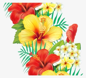 Hibiscus Clipart Flower Boarder - Cafepress Tropical Hibiscus Tile Coaster