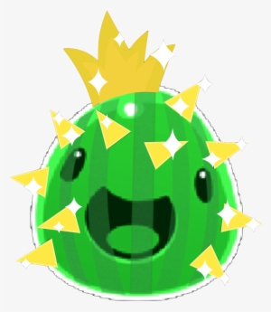 Gold Cactus Largo 2 - Cartoon