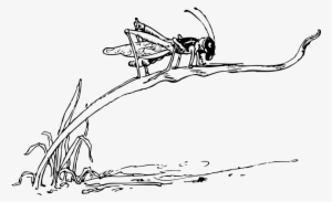 Grasshopper On Blade Of Grass Svg Clip Arts 594 X 363
