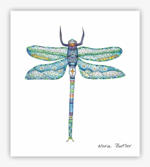 Damselfly Print By Nora Butler - Net-winged Insects