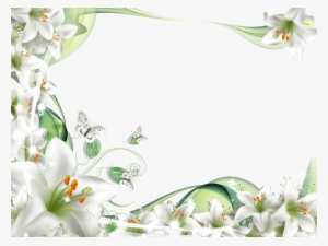 Flores Blancas Png - Frame Psd