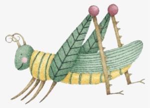 Insect Caelifera Drawing Grasshopper - Dibujo De La Cigarra