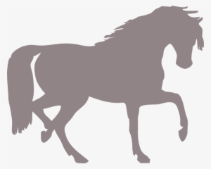 How To Set Use Grey Horse Svg Vector