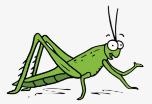 Grasshopper - Oecanthidae
