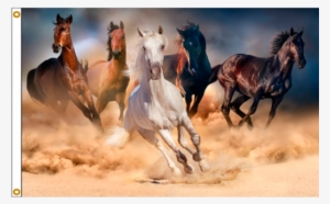 running horses flag - running horses
