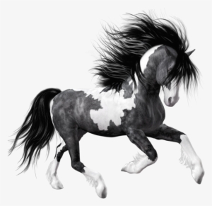 0, - Black Horse Png