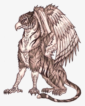 Google Search Fairytale Creatures, Griffins, Fairy - Eagle Griffin And Tiger