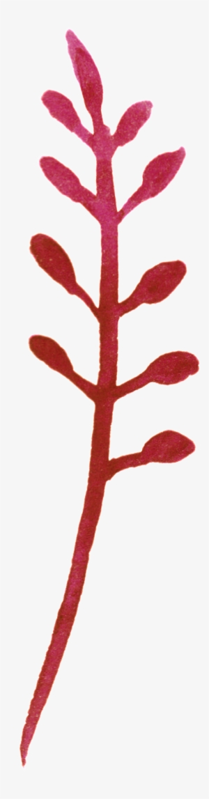Red Plum Blossom Branch Transparent Decorative - Vector Graphics