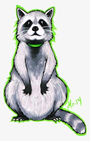 Drawing Raccoon Portrait - Raccoon