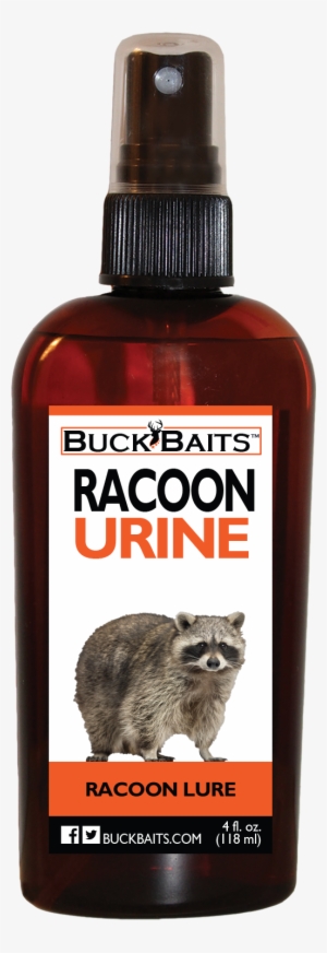 Racoon V=1529522326 - Buck Baits Dominate Bear Urine 4 Oz.