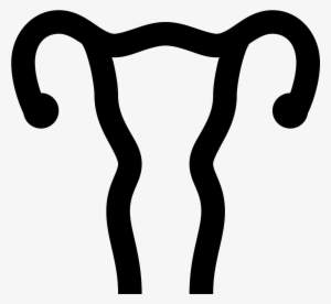 This Icon Represents The Uterus Of A Female Human