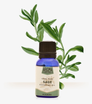 Post - Aroma Foundry Sage Essential Oil - 15 Ml - 100% Pure