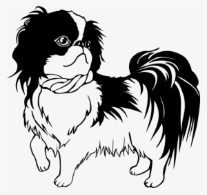 shih tzu japanese chin puppy line art drawing - dog shih tzu clipart