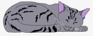 Kitten Png Clipart - Sleeping Cat Clipart Png