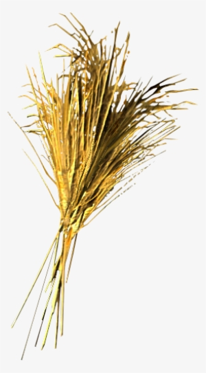 Wheat - Portable Network Graphics