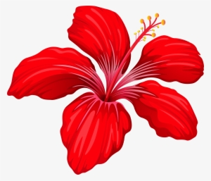 Exotic Red Flower Png Image - Red Hibiscus Flower Png
