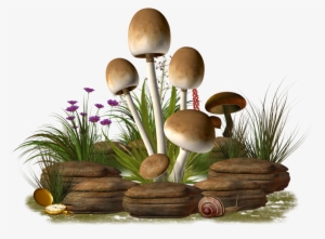 Mushroom Png Transparent Image - Mushroom Png